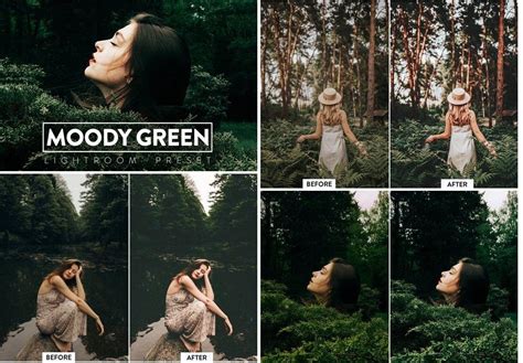 download Moody Green Lightroom mobile presets .